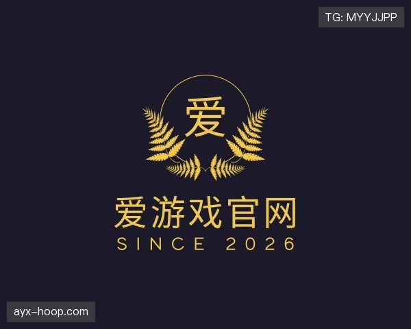 关于爱游戏